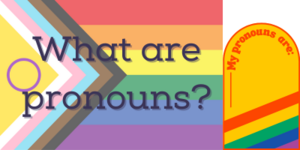 Let’s talk about pronouns