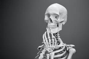 Character Backgrounds: Skeletons in the Closet
