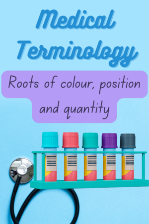 Understanding Medical Terminology – Colour, Position and Quantity