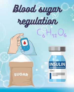 Blood Sugar Regulation Hormones