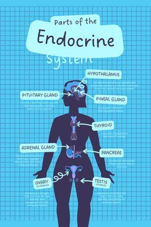 Endocrinology For Writers