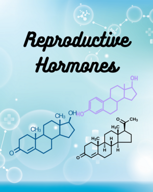 Gonads And Sex Hormones